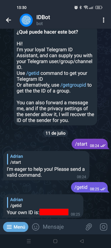 Obtener Chat ID bot Telegram
